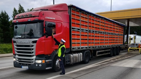 Akcja Trzeźwa autostrada w powiecie toruńskim. Pijani kierowcy pożegnali się z prawem jazdy